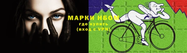 шишки Армянск