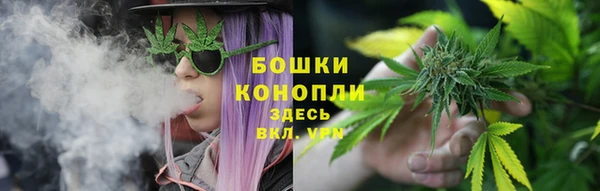 бошки Аркадак