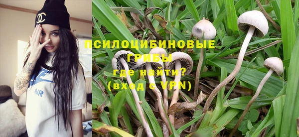 Альфа ПВП Алексин