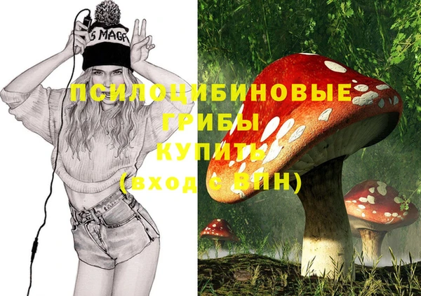 шишки Армянск
