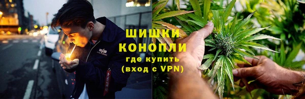 бошки Аркадак