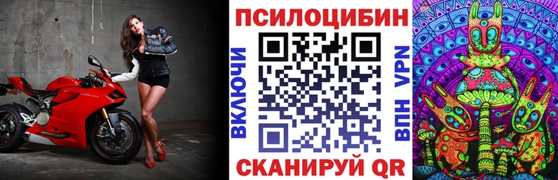 купить   Куйбышев  KRAKEN ССЫЛКА  Галлюциногенные грибы Psilocybine cubensis 